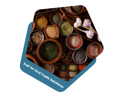 About us image YSJ Global Ltd